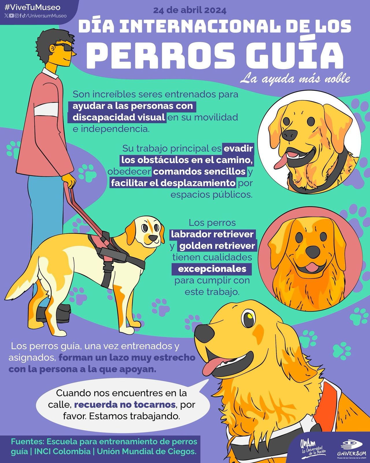 Raymundo Alejandro Cuevas Escalante-91