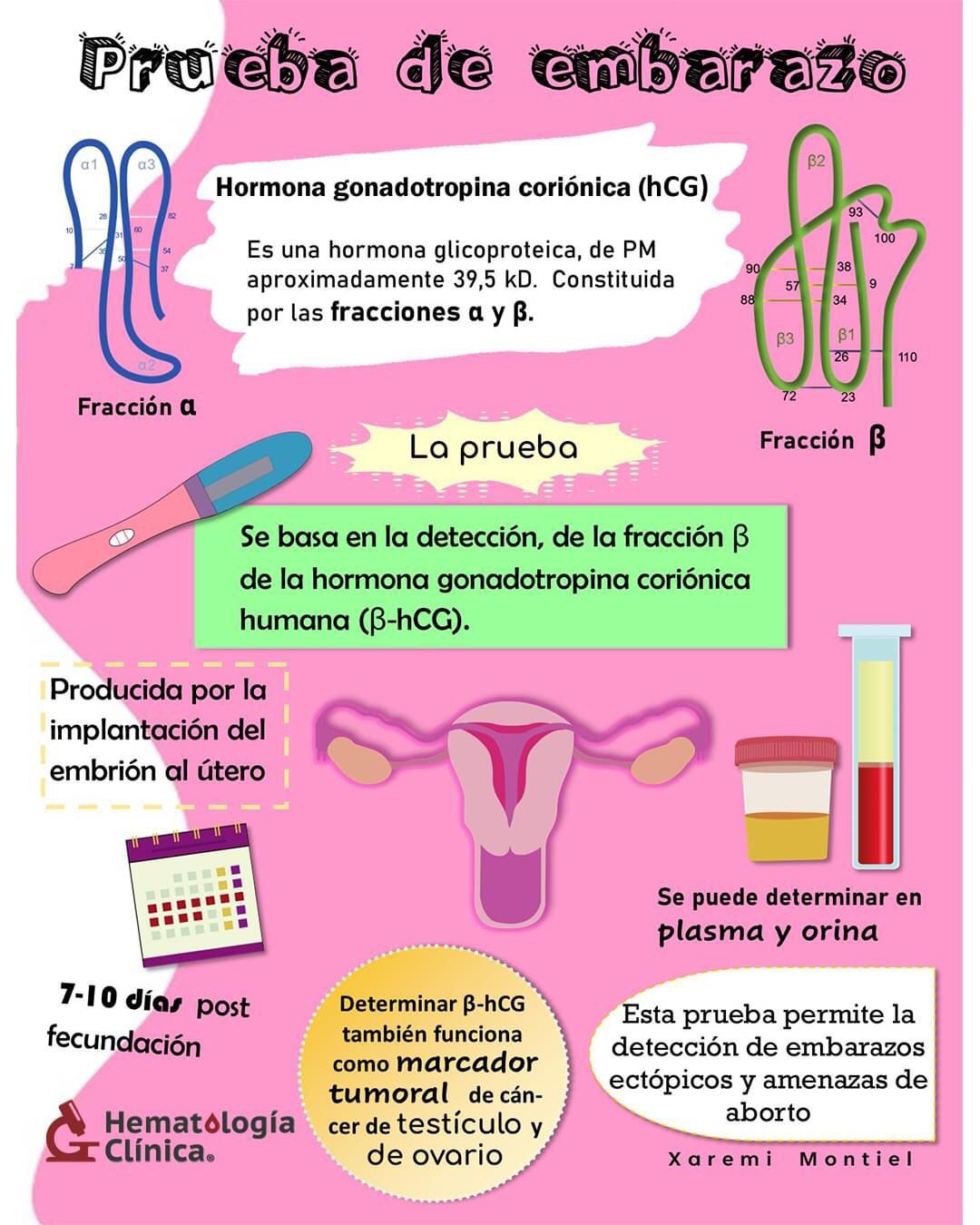 Guadalupe Muñoz Castro-11