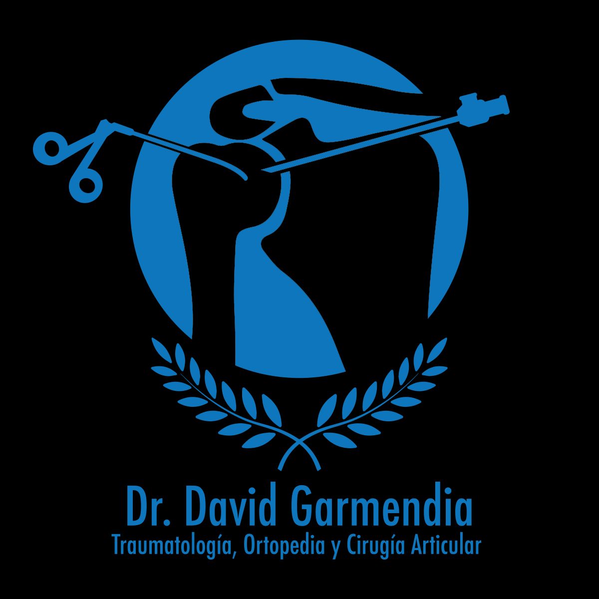 David Horacio Garmendia Cárdenas-6