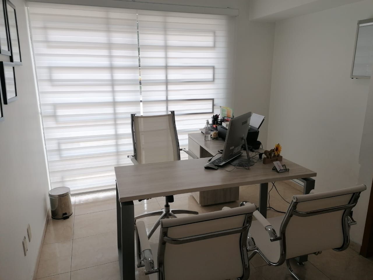 Silvia Esmeralda Pérez Topete-2