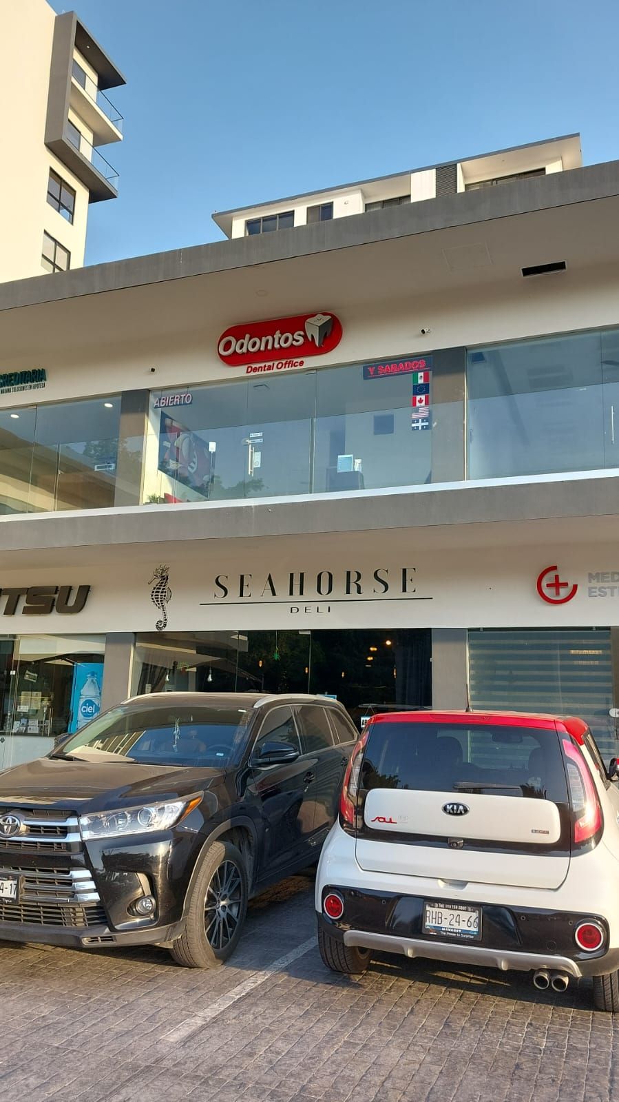 Ana Isabel Valadés Rabasa-11