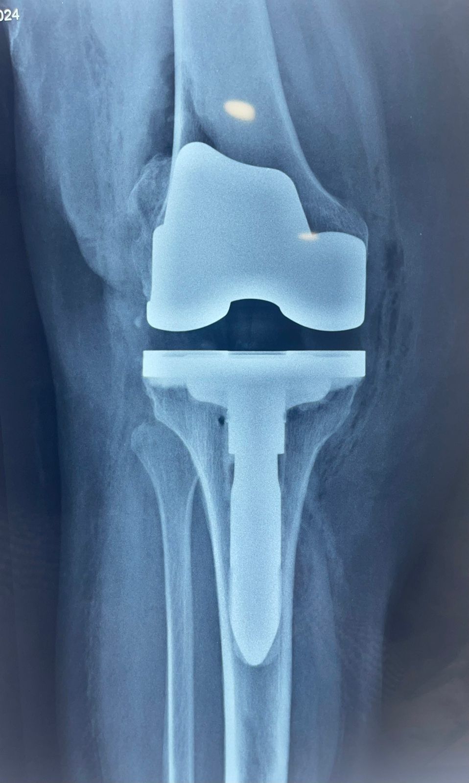 Alejandro Álvarez Colín-1