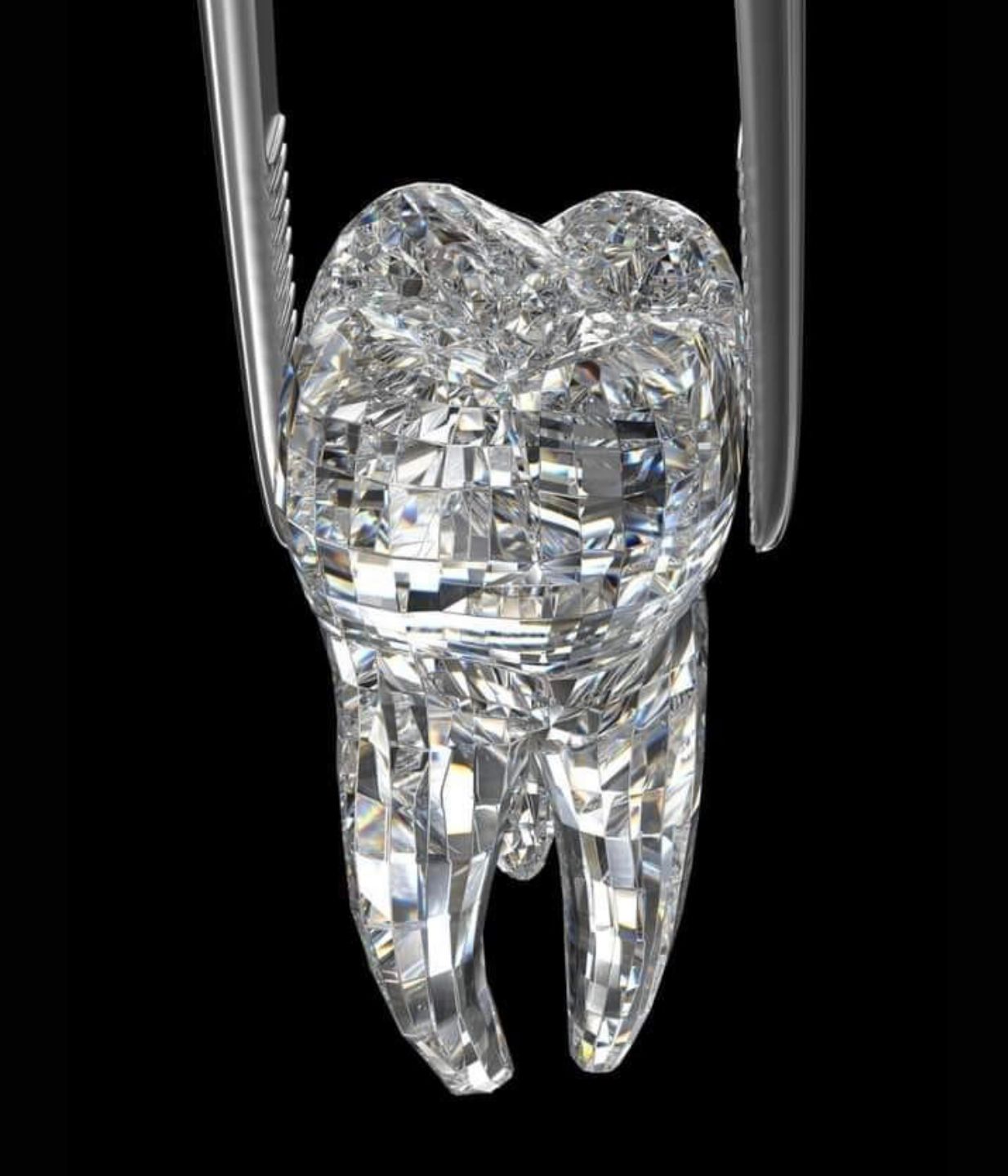 Alicia Araceli Navarro Burguete-22