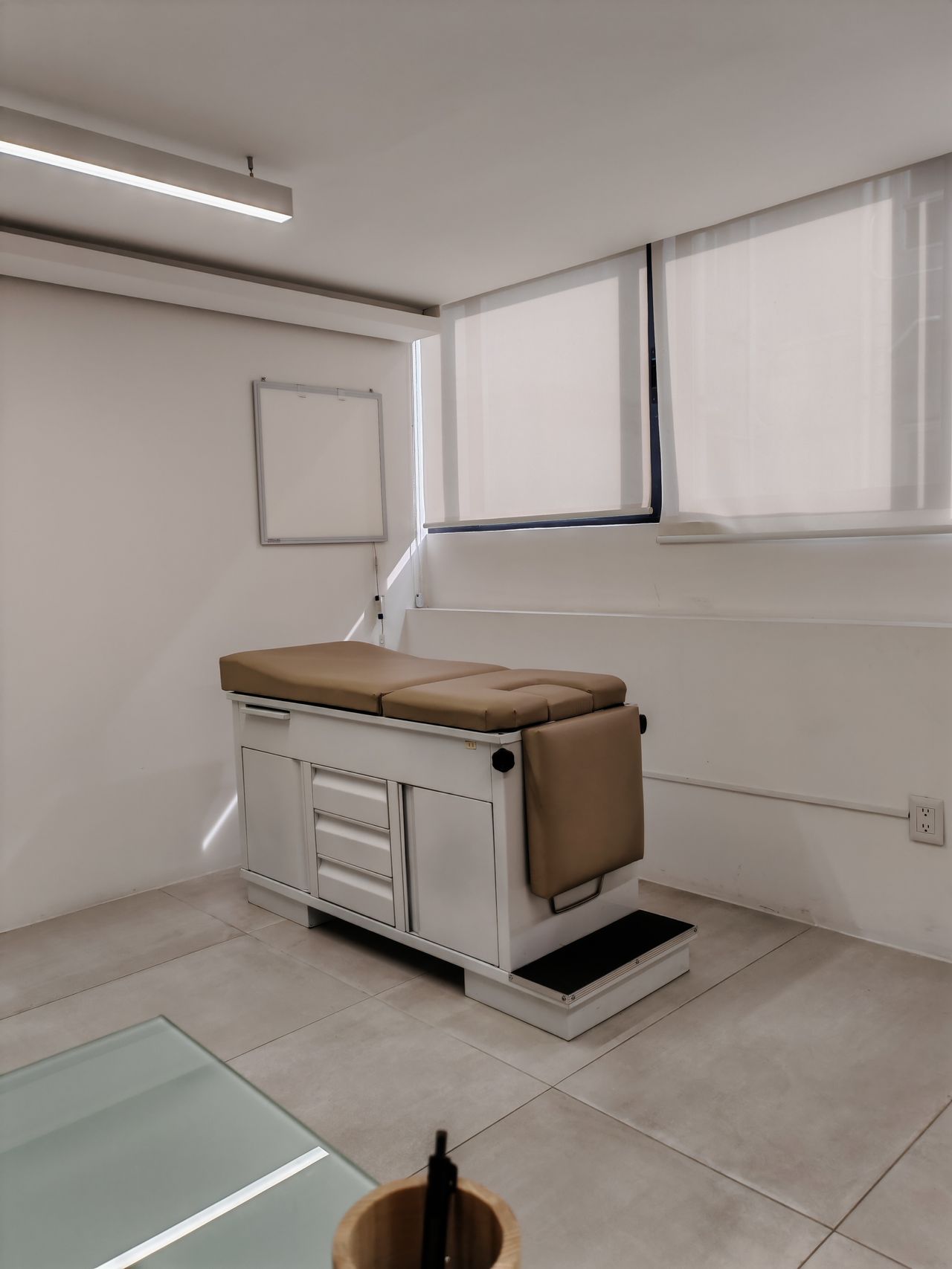 Maria Fernanda Isabel Gonzalez Munguia-1