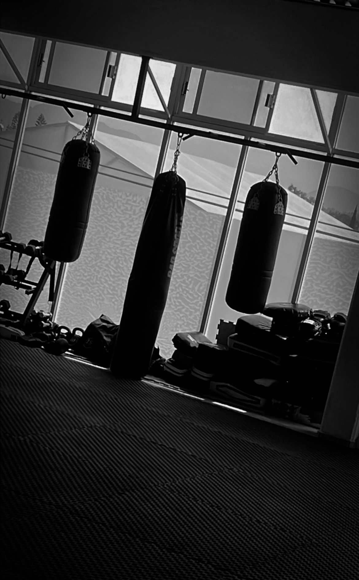 Estefania Alvarez Hernandez-7