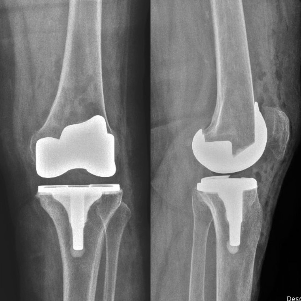 Luis Felipe Graham Nieto-1