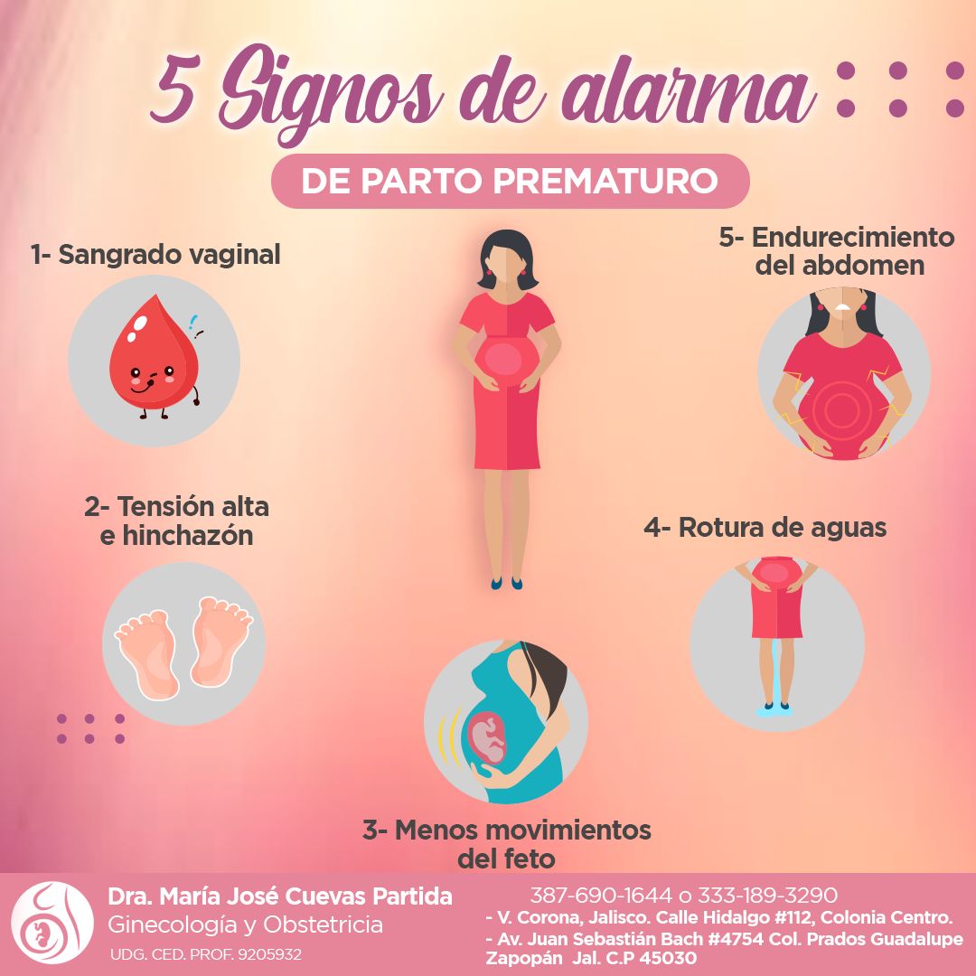 María José Cuevas Partida-17