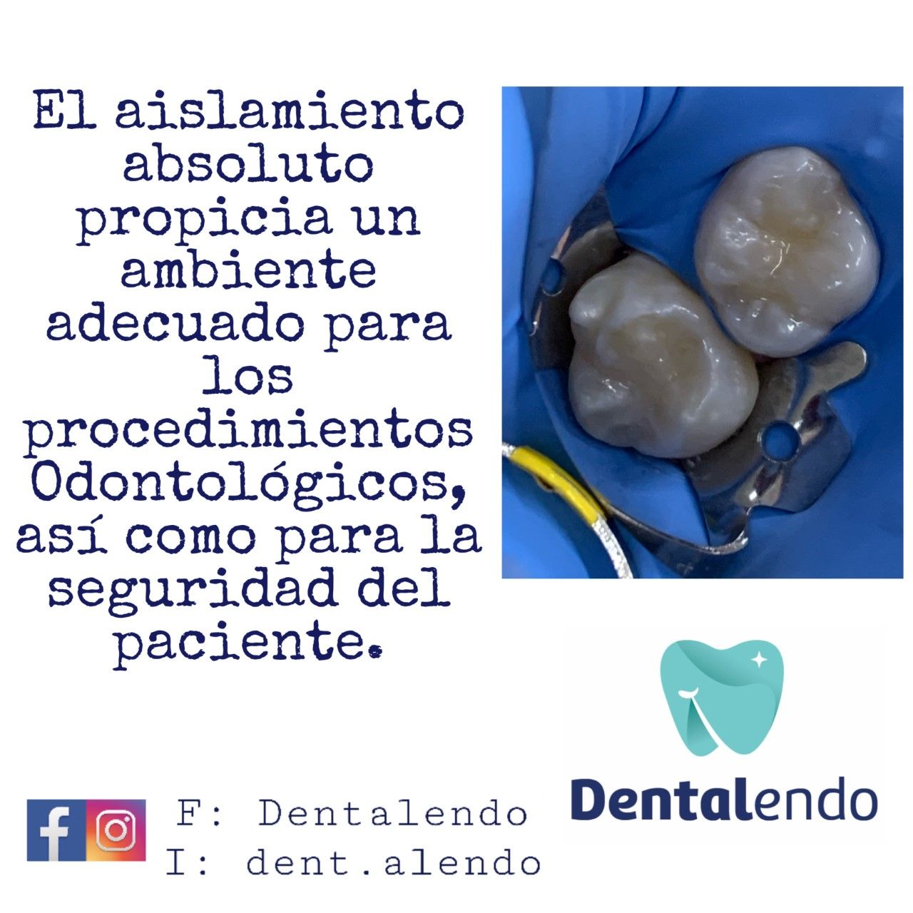 Alejandra Heredia Morán-15