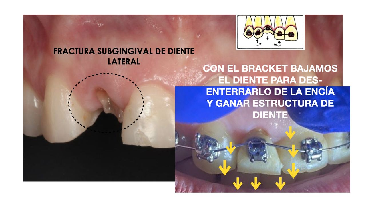 Andrea Cervantes Urenda-12