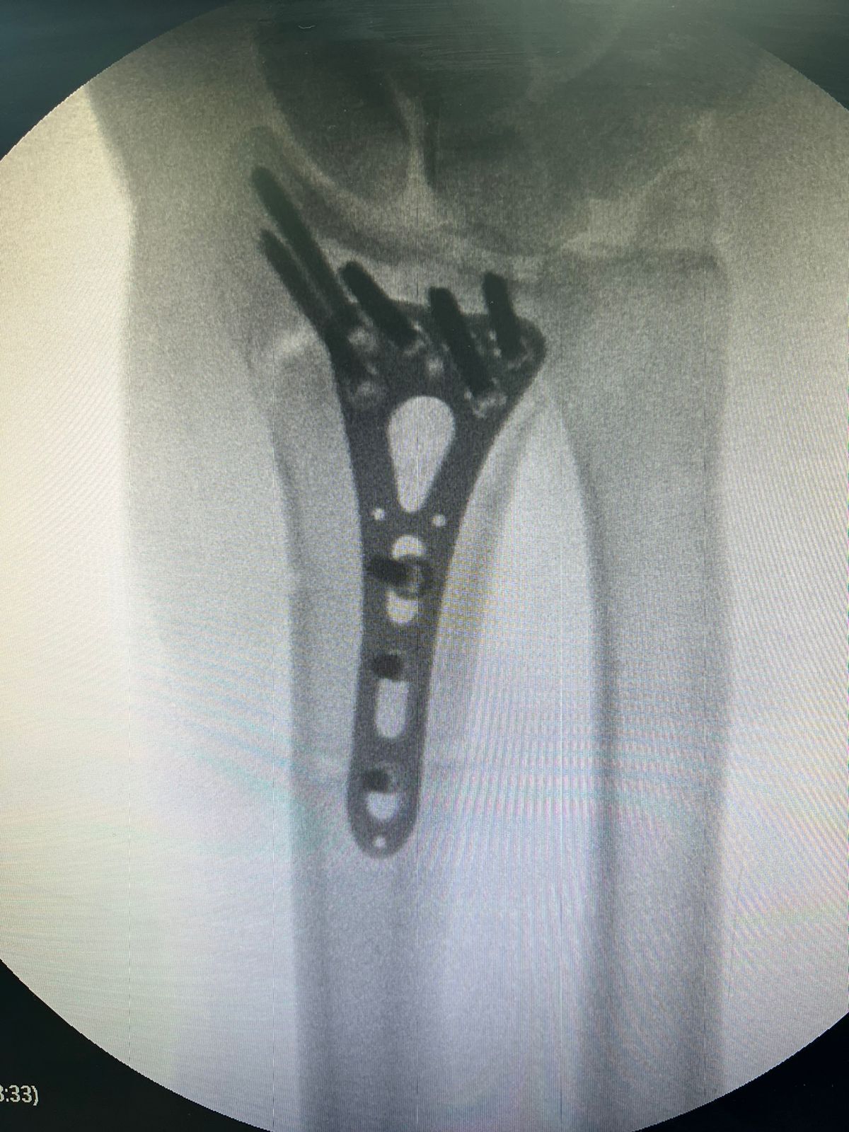 Karen Prieto Reyes-2