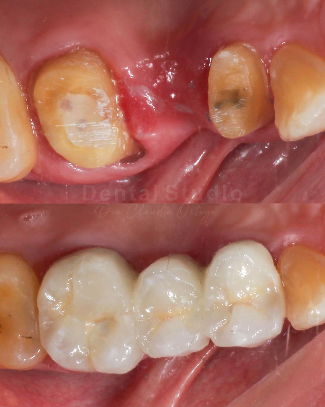 Claudia Y. Ortega Reyes-2