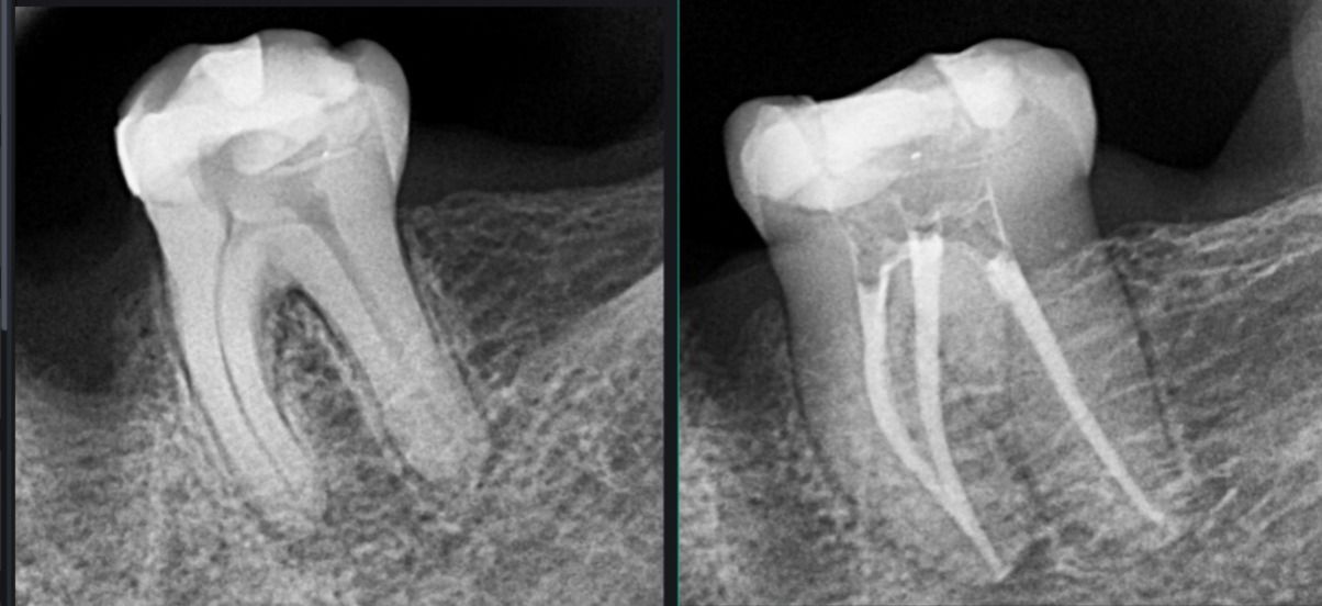 Roberto Diez Rodríguez-2