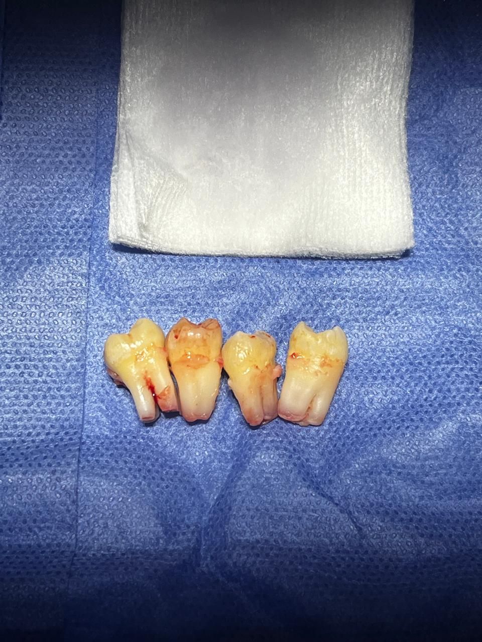 Rodolfo R. Subero Testani-11