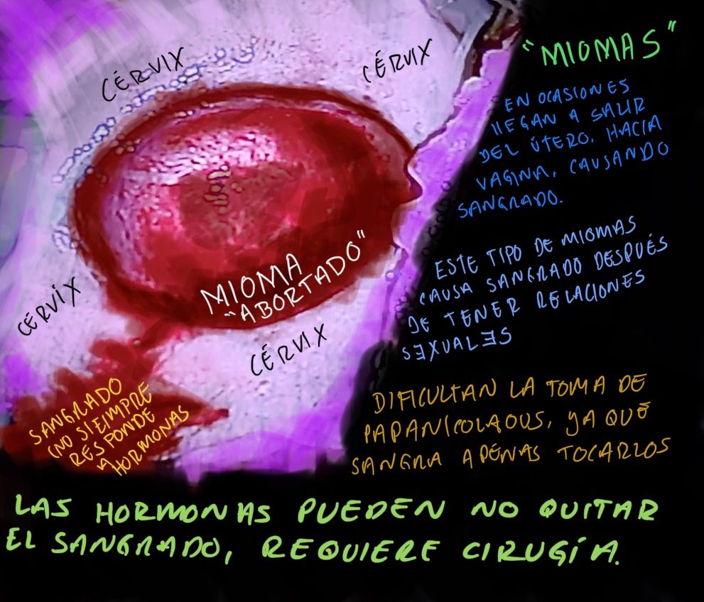 Emmanuel Humberto Alegría Peralta-18
