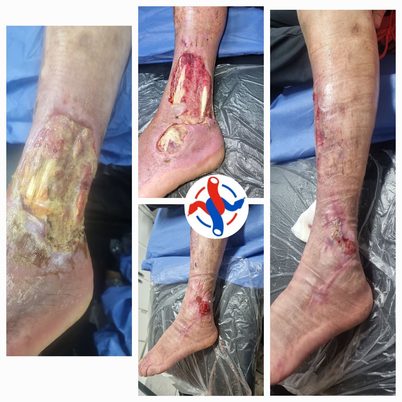 José Reyes Gómez Romo-7