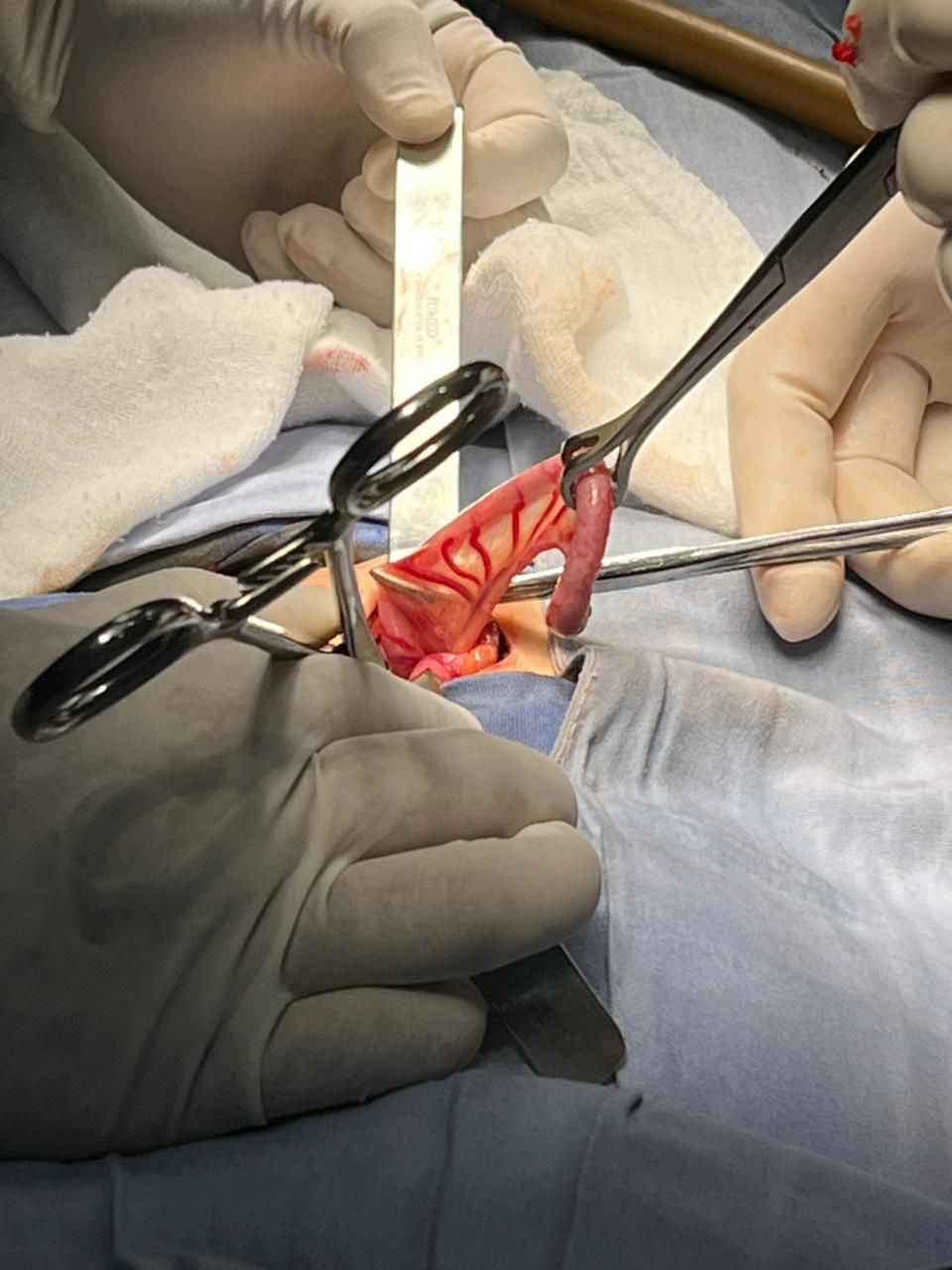 Eduardo Tamayo Garibay-4