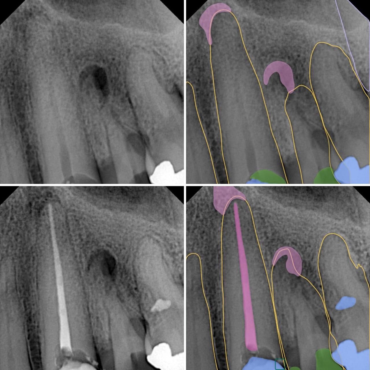 Xiuhnel Solorio Cuevas-19