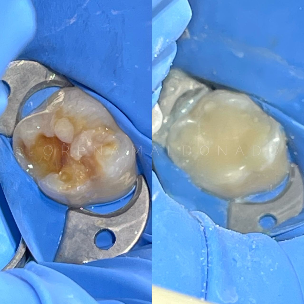 Ana Lorena Maldonado Munguia-7