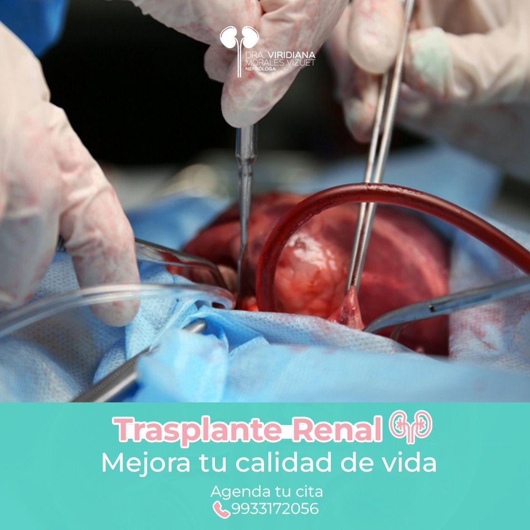 Viridiana Morales Vizuet-3