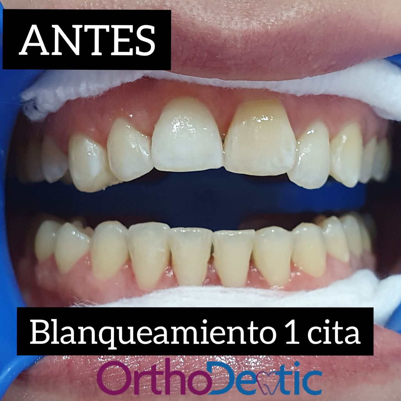 Mónica Bridgette Guerrero Martínez-128