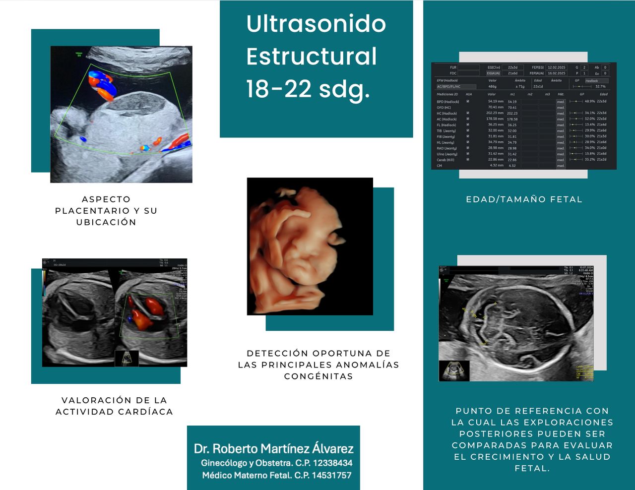 Roberto Martinez Alvarez-2
