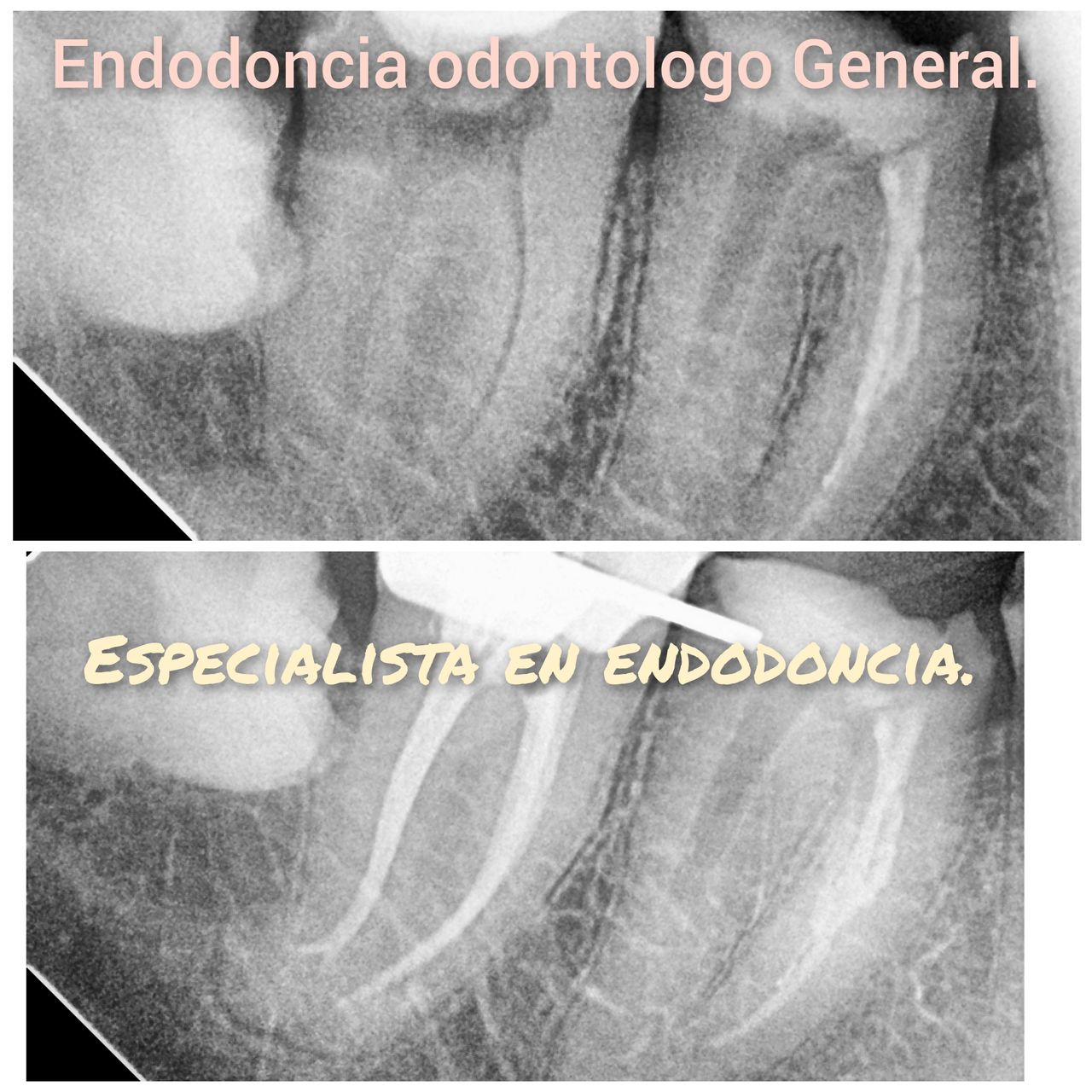 Israel Viquez Gomez-6