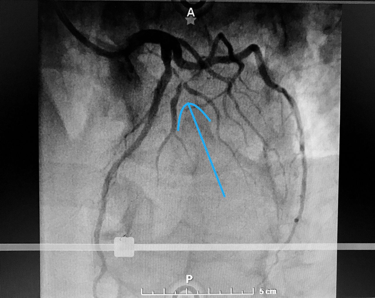 Héctor González Godínez-15
