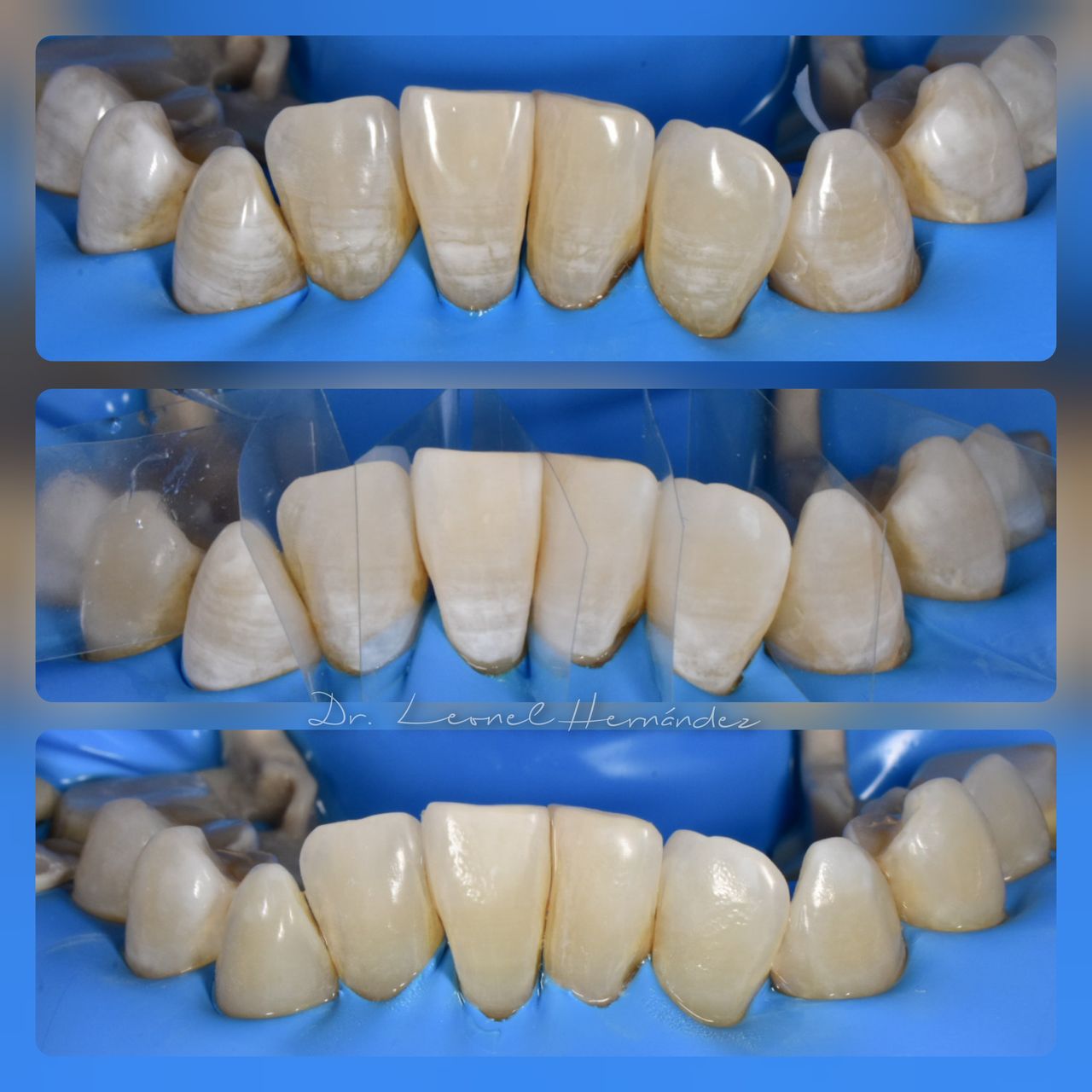 Leonel Hernández Gómez-20