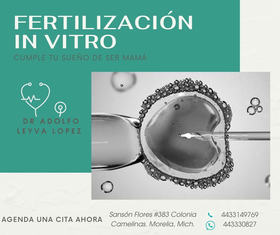 Adolfo Leyva Lopez-8