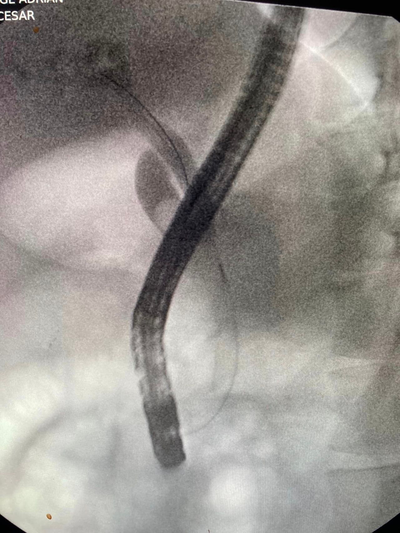 J. César Reyes Vásquez-12