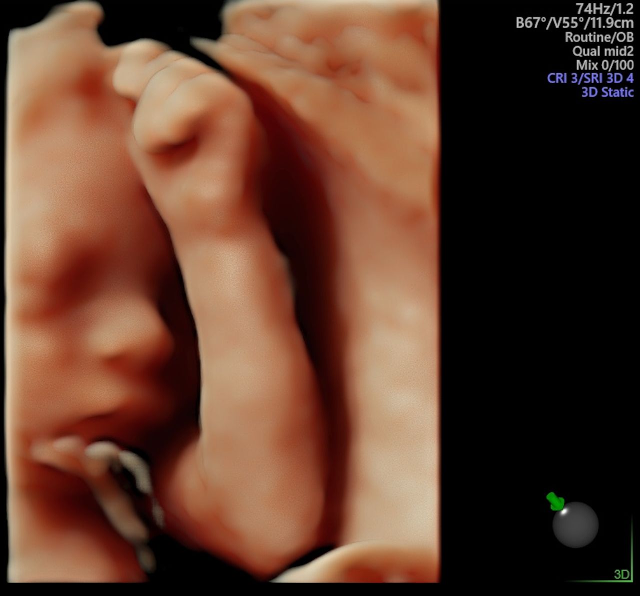 Dulce Anabel Jarquin Arango-42