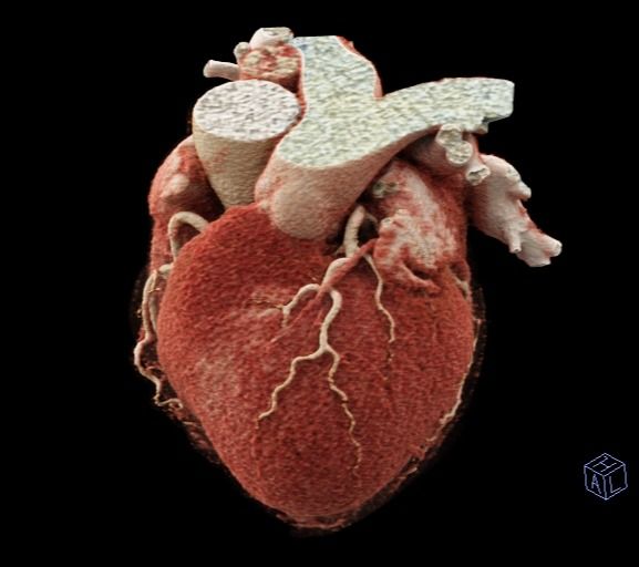 Miguel Franco Estrada-0