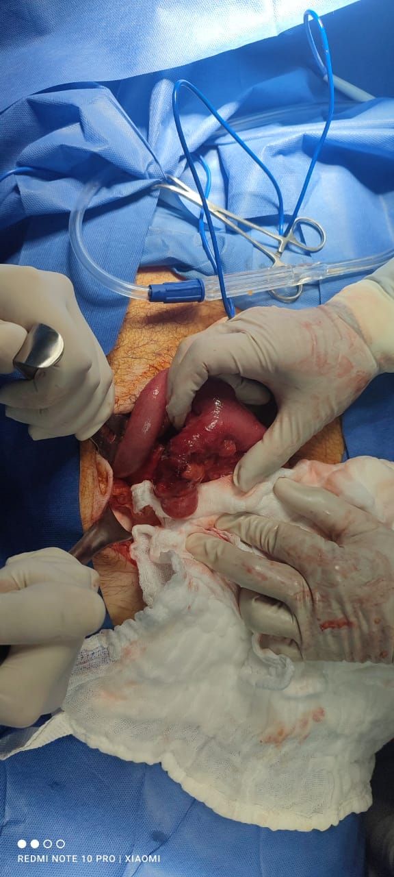 Héctor Gerardo Luján Vargas-3