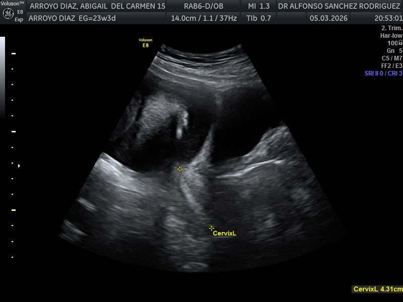 Alfonso Sanchez Rodriguez-59