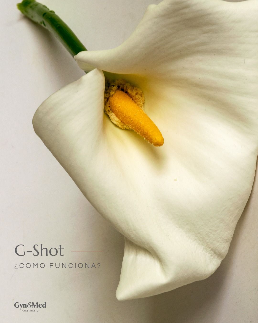 Alejandro Morales-14