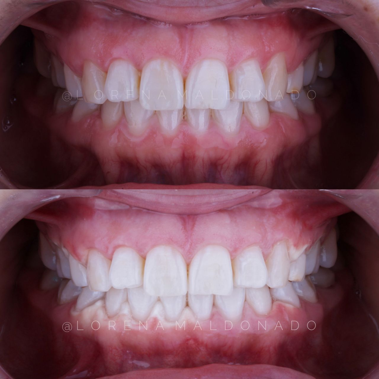 Ana Lorena Maldonado Munguia-8