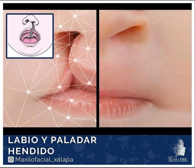 Silvia Uribe Márquez-10