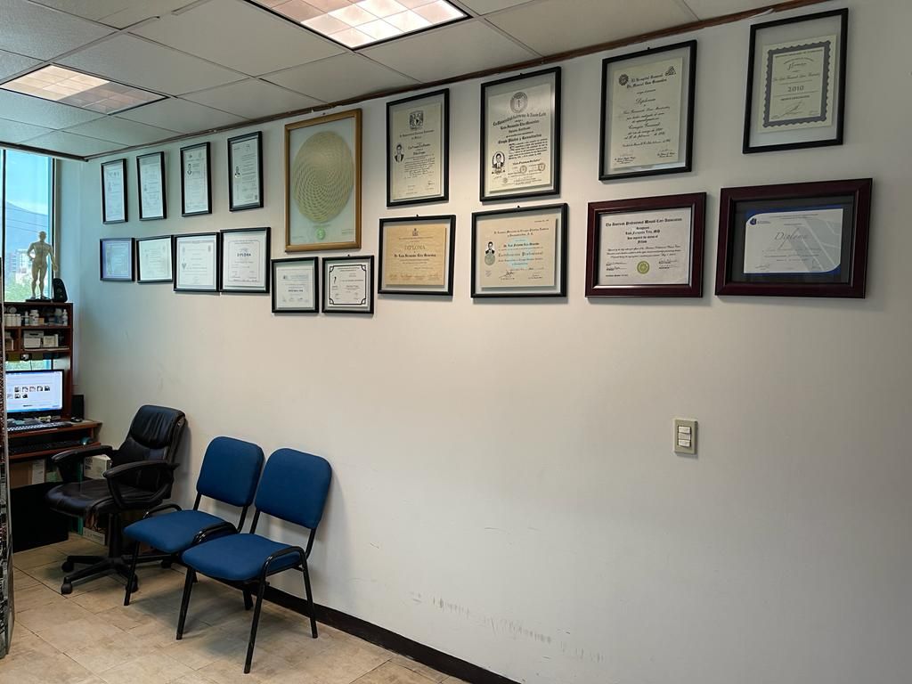 Luis Fernando Lira Menendez-8