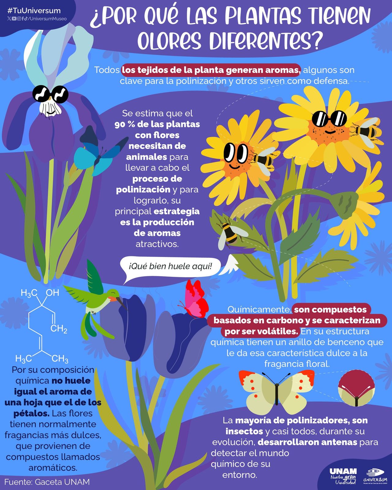 Raymundo Alejandro Cuevas Escalante-313