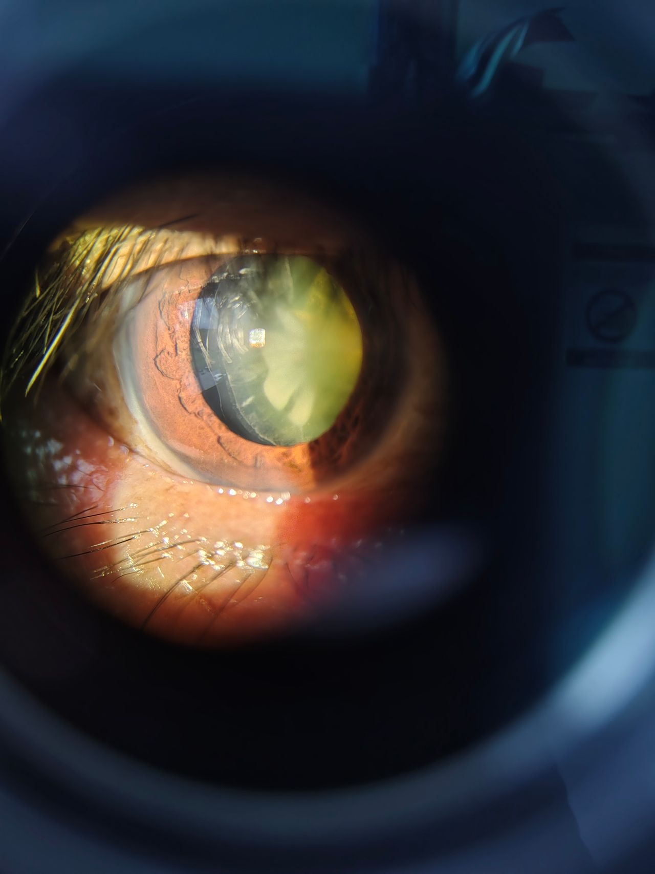 Álvaro Garza Arreola-1