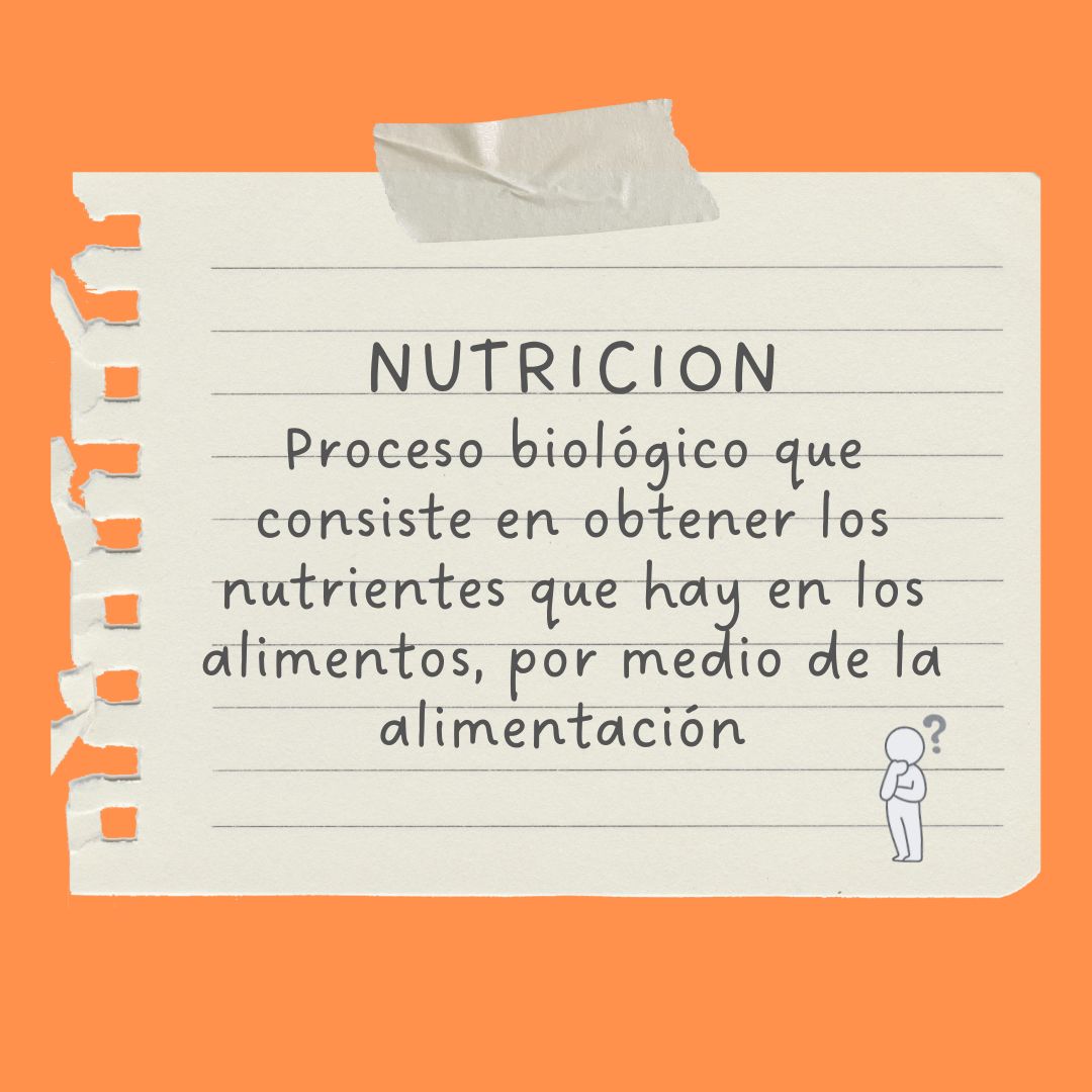 Manuel Josimar Hernández Castillo-2