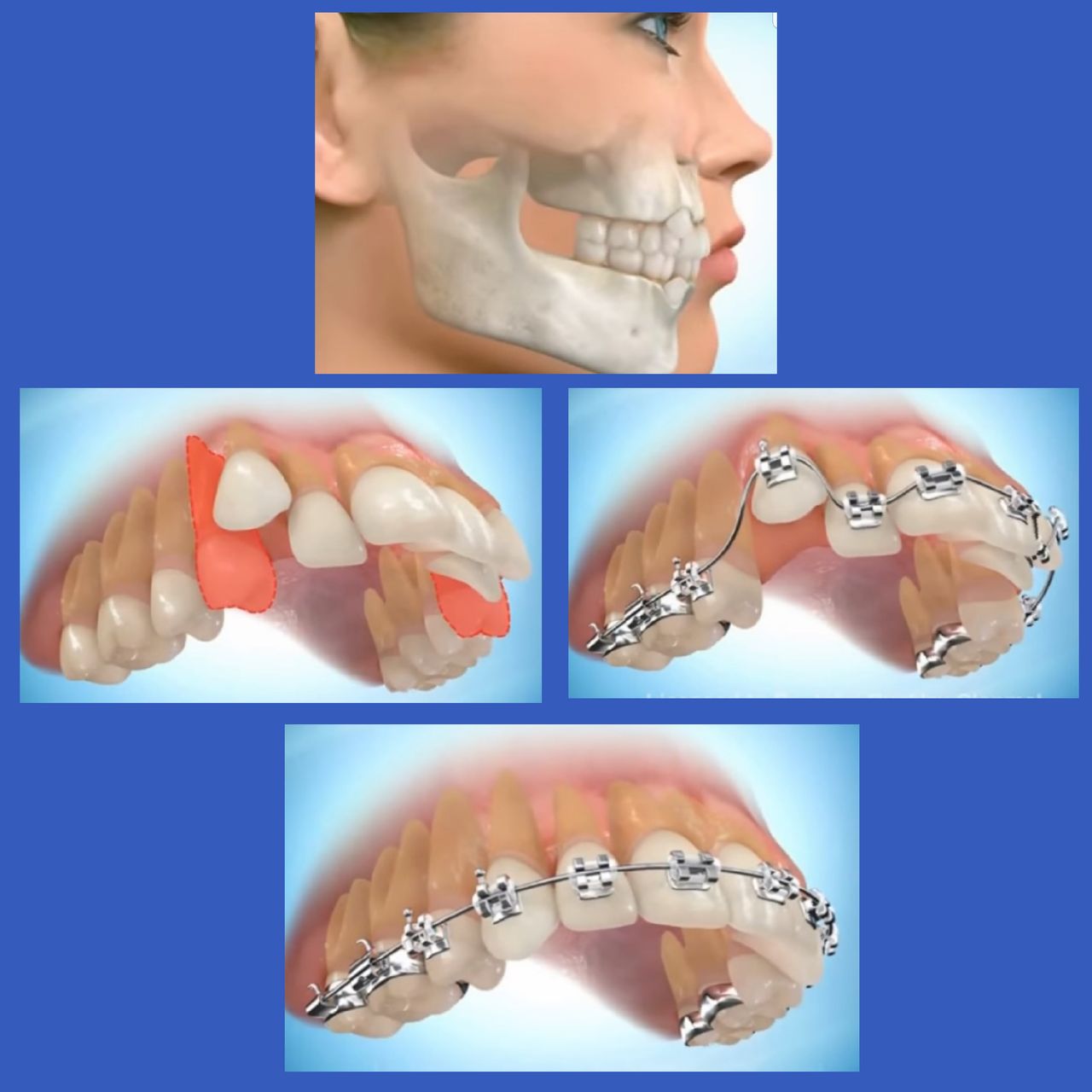 Maria De La Luz Uribe Pozos-8