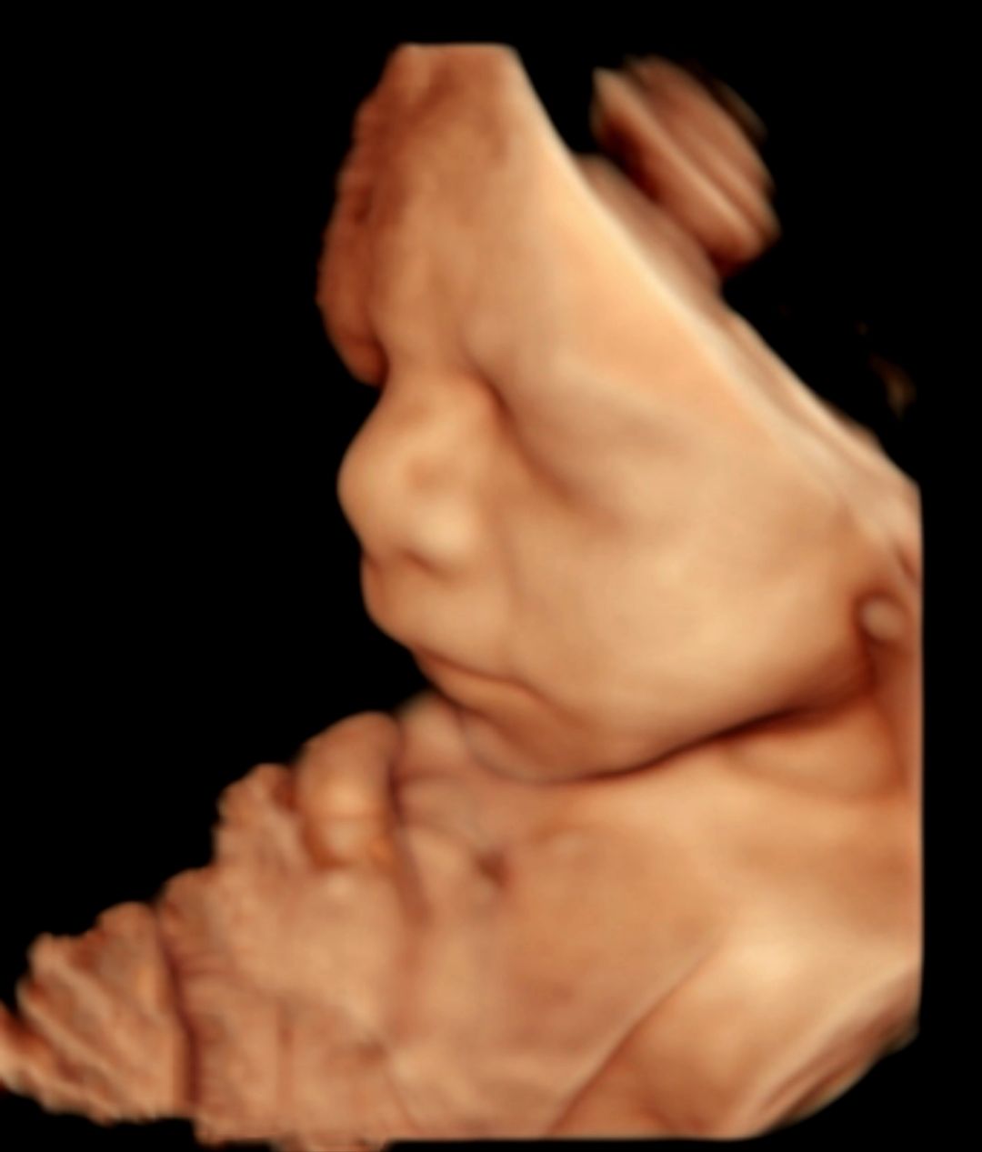 José De Jesús Guzmán Llamas-5