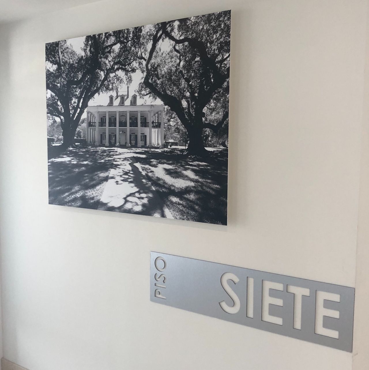 Marian Martínez Zayas-1