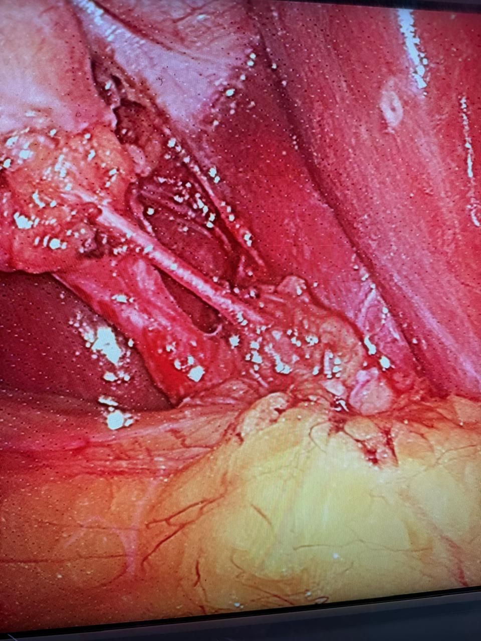 Horacio Paniagua Hernández-16
