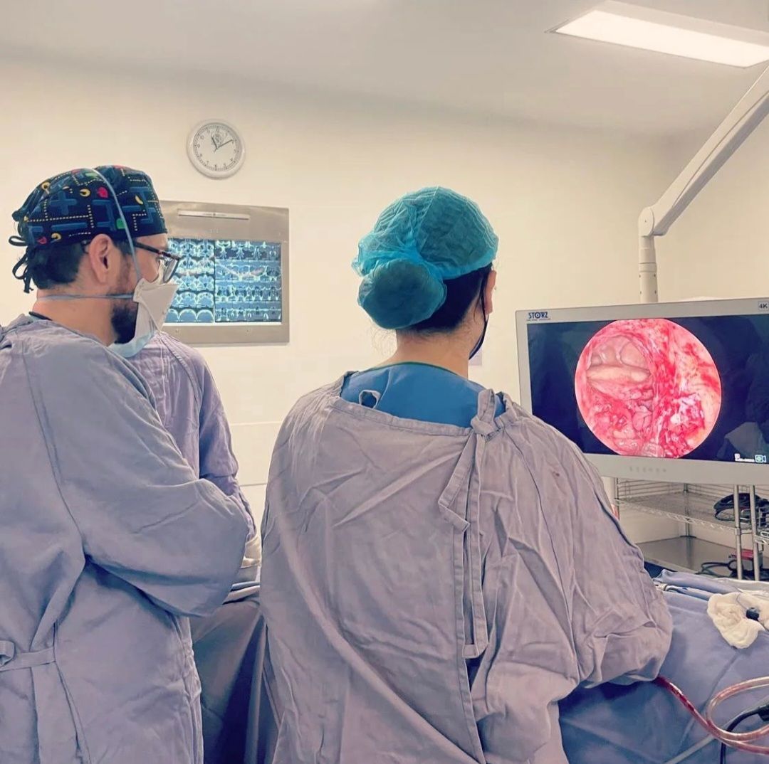 Mariana Sterling Pamplona-6