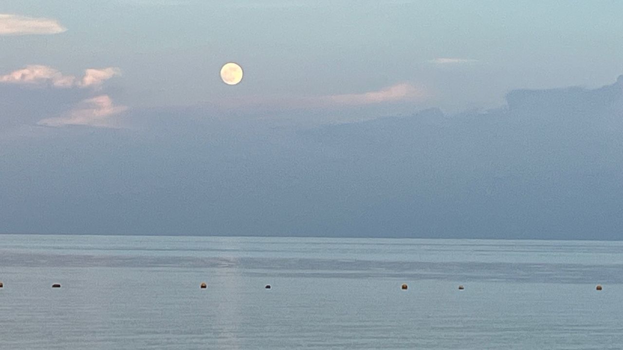 Horacio Contreras Colín-8