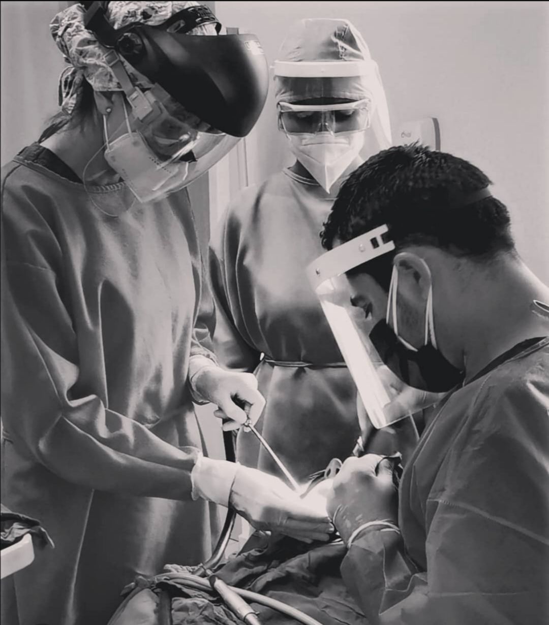 Ana Cecilia Chapa Kindling-20