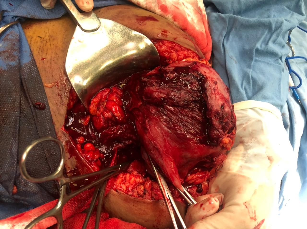 Marisol I. Alvarez Carrasco-14