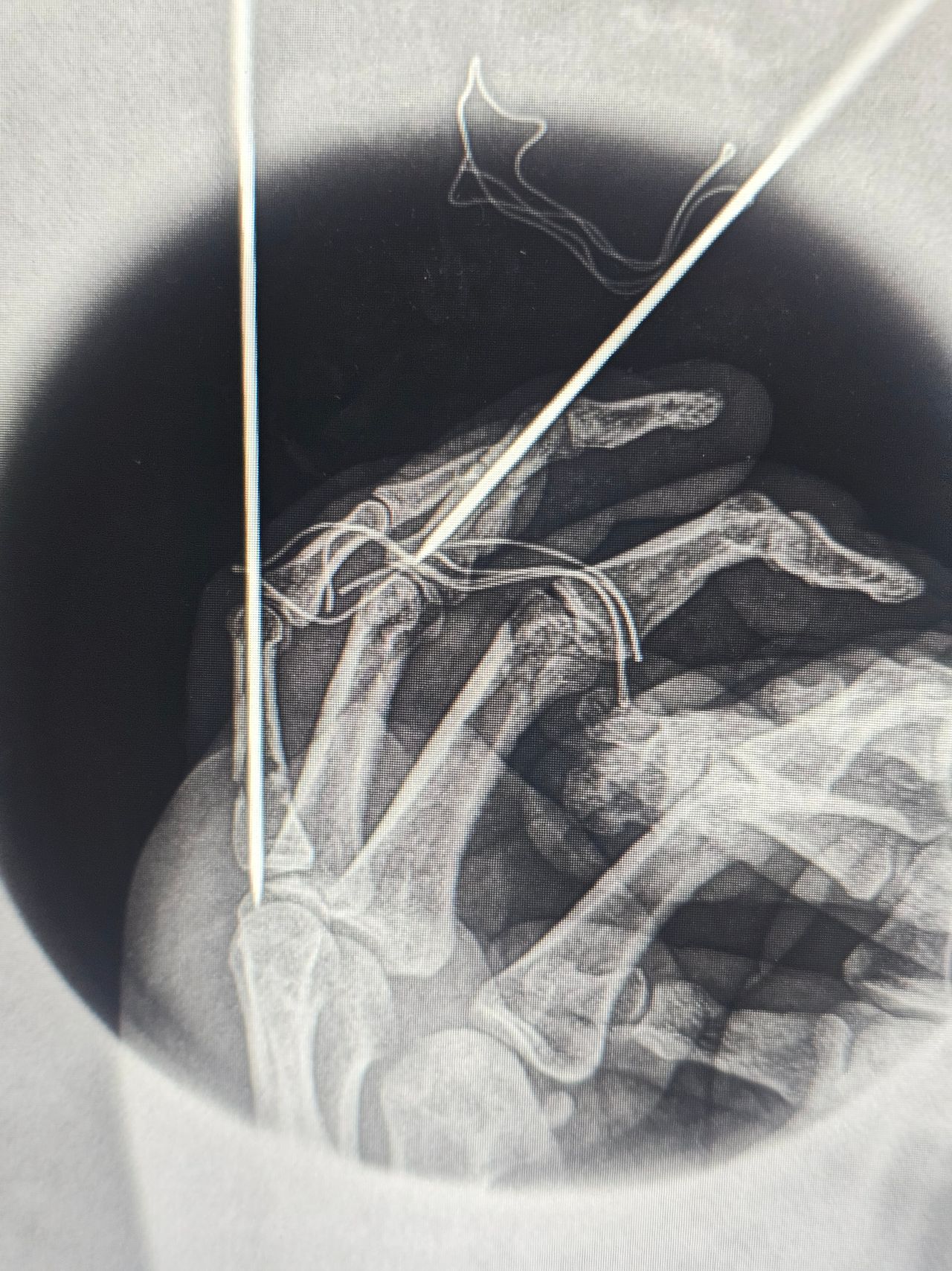 Jaime Galvan Alaniz-23